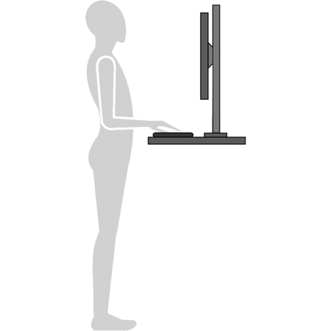 Play Standing Monitor 1 Height Visual