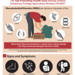 Musculoskeletal Disorders (MSDs) among Temporary Foreign Agriculture Workers (TFAW)